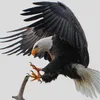 qurr__05