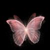 littlebutterflly_698