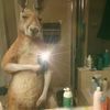 kevinalexanderrey48