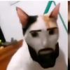 miguelito_cm21