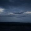 insomniac491