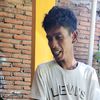 luc1_fe12
