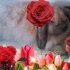 rabbit0619
