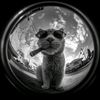 moodygood__