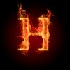 hagar_alnaqeeb1