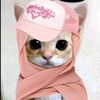 rixta_tqa
