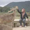mamahrifal74