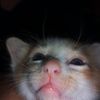 adeeva_1111