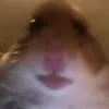alberto_homyako
