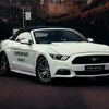 Custom Cars