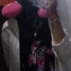 wiggzle_br