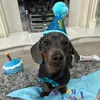 rolotheminidash