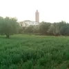 yahaymimouni
