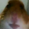 aleckckraumov