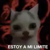 kiiiiiisdh