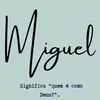 miguel.bressanin