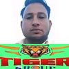 tiger.group8853
