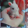 kjguuuiiiigftt