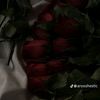lily.turner83