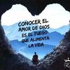 carmenlinarez472