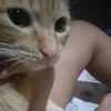 euxibhaaa
