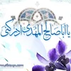 user3248069756533