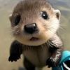 otter