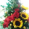 nancypinilla75