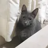 rafahfgames