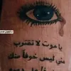 hussein.najeeb75