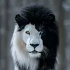 philippeagencesimba