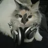_kowwy