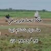 user8375795560983