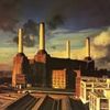 ilovpinkfloydlover911