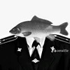 gleb4121x71