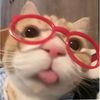sitluv_14