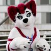 aroura_snow_floof