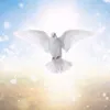 tuyenrmah97