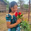 shwesinwin711
