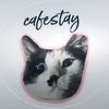 stayr44