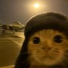 skibidihunter33