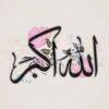 sinthiya.jahan225