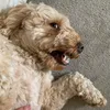 hugo48812