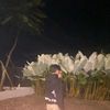 akbarnugrahaa07