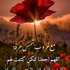 user3608241299461