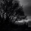 moon_333_light