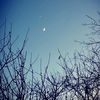 _sahin_asadoff_18