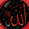 mohammadrahimrash