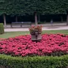 joewinter072