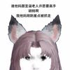 gaoshouhutao111